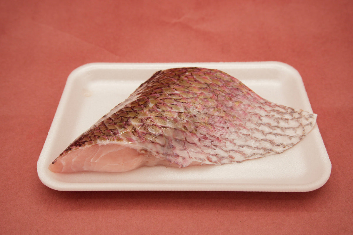 Snapper