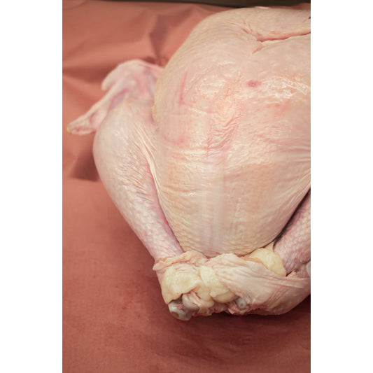 Al Maeeda Fresh Whole Turkey