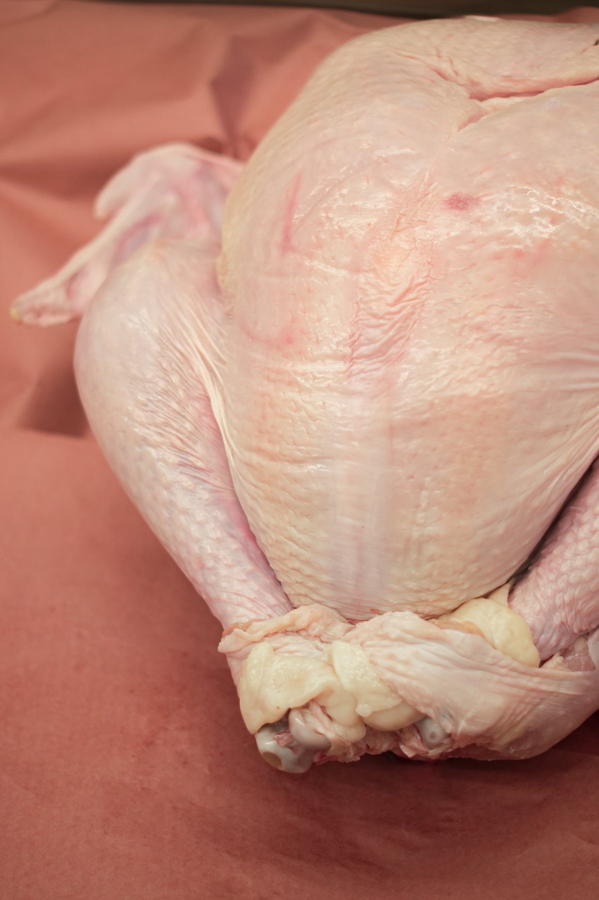 Al Maeeda Fresh Whole Turkey